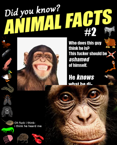 animal facts