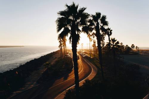 Free photos for your personal and commercial projects: bit.ly/2e8IFSG
