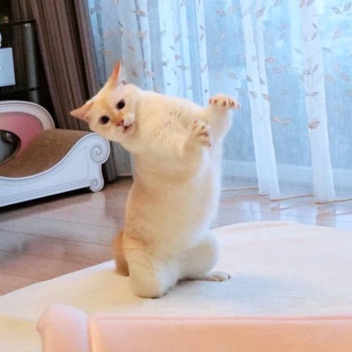 recklesslyinfatuated:  Dance like nobody’s watching.