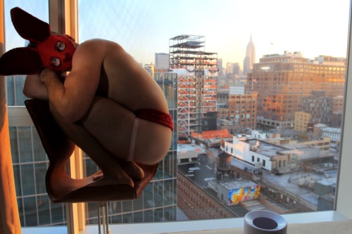 Snow BuNNiES rejoice in their @knittygrittynyc #jockstrap ❤️