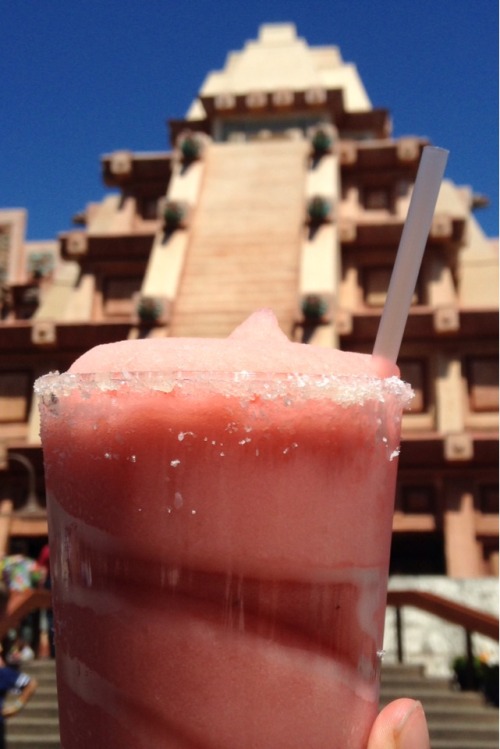 themouseketeer:  Went drinking around the world for the first time yesterday! So much fun! 