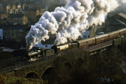 unicornsarelame:  spectacle at summerseat (by midcheshireman) 