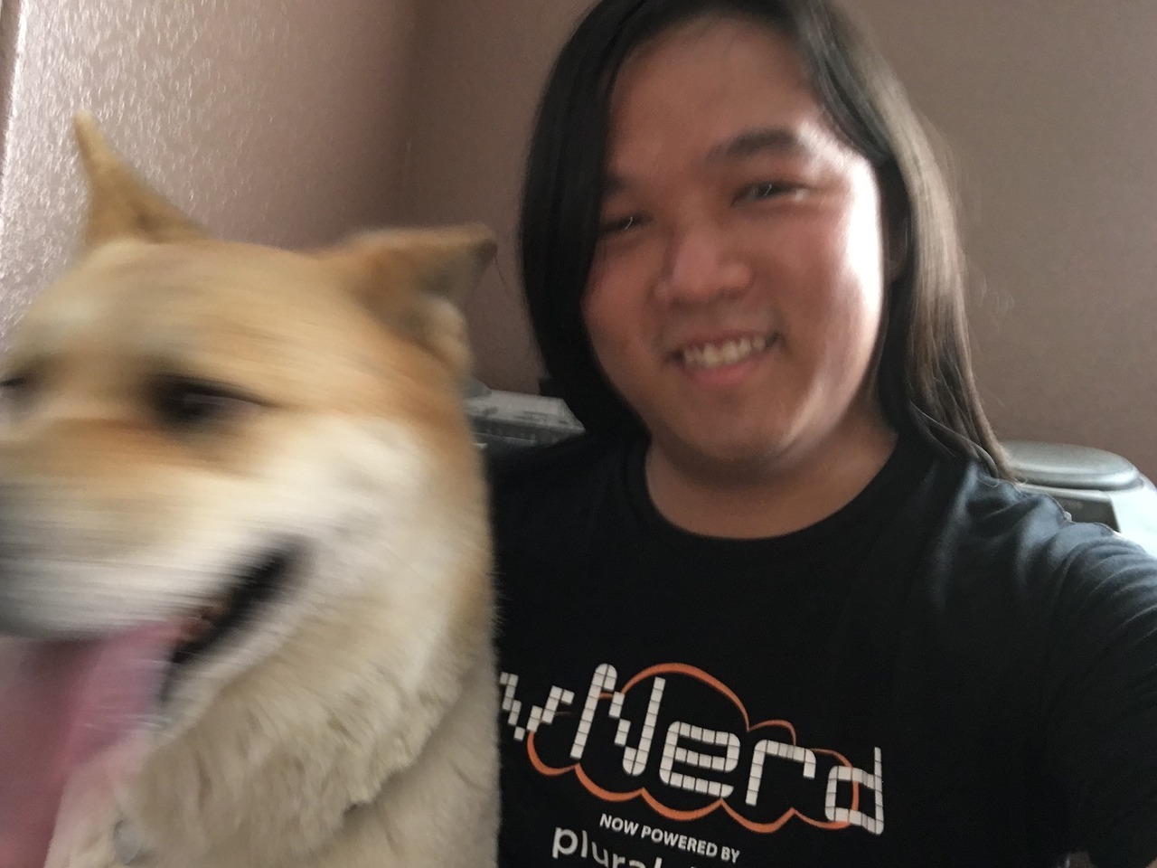  My short week with a dog We  picked her up from a rescue shelter. She was nothing