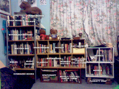 manticoreimaginary:Book Meme: 1. ‘The System’ Next time I won’t use my camera