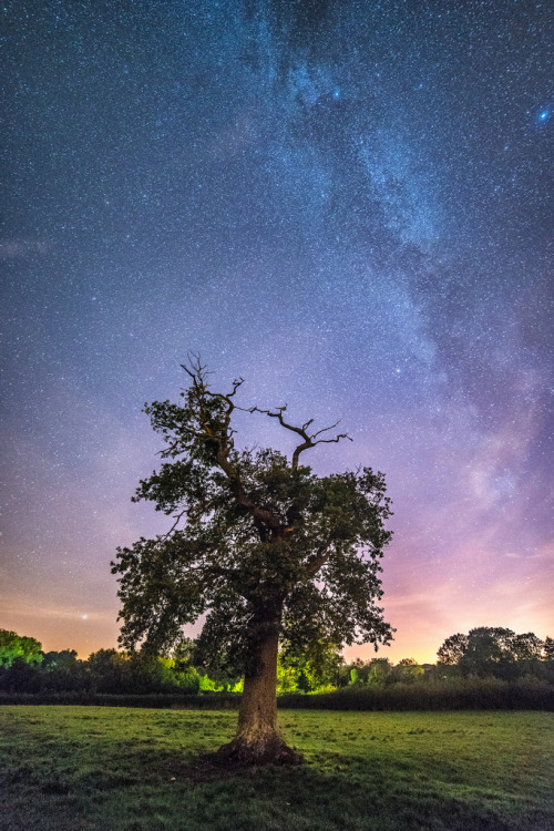 jamas-rendirse:Milky Way By Matt Bigwood.