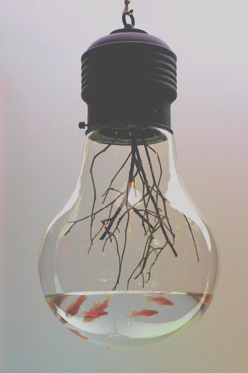 The Poison of Love