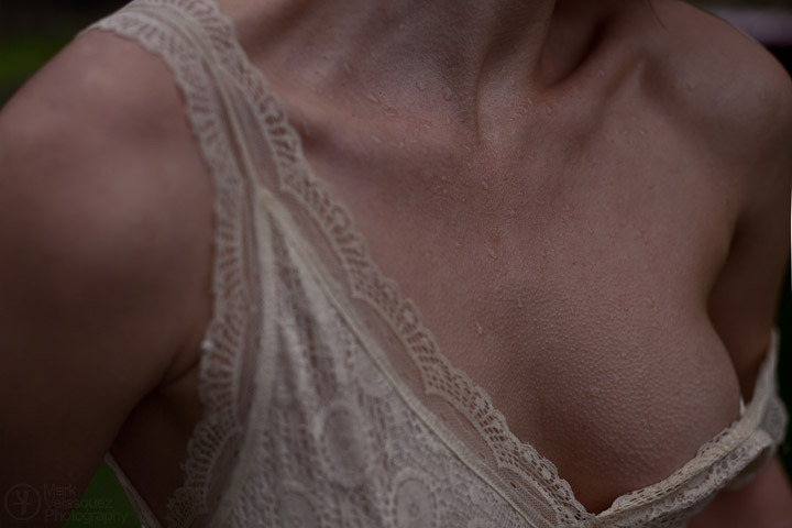 &ldquo;The woods are lovely, dark and deep,But I have promises to keep.And miles