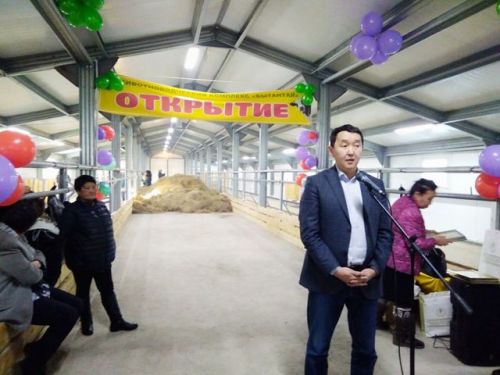 Opening of a new livestock breeding complex of the Bytantay farm for120 Yakutian cattle, in the vill