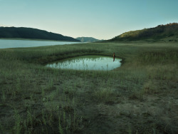 saintily:  botanize:  Tamara Dean, Reflection