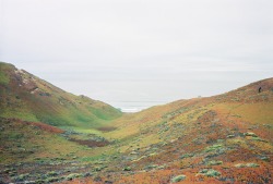 hellbody:  per some dude on the bus’s recommendation we camped out in the sage brush covered sand dunes in marina behind the train tracks, it was such a beautiful haven in the middle of shit town.  woke up in the morning and hiked out to the ocean