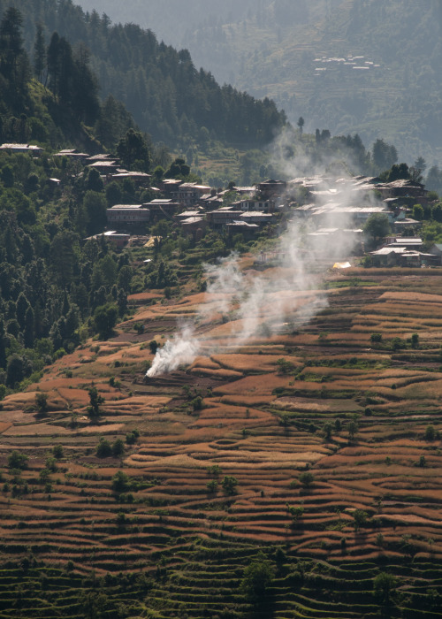 Burning in the terraced fields below Bhoomthir, Indian Himalayas.