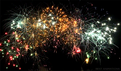 HAPPY NEW YEAR EVERYONE!! 🎆