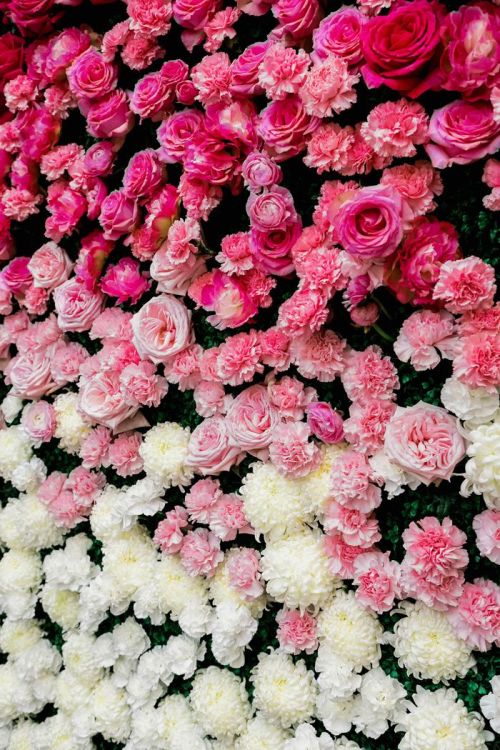 Obsessing Over: Flower Walls