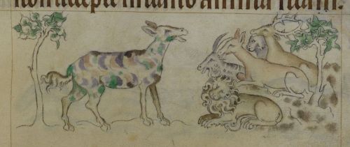 eadfrith:A psychadelic Zebra? (maybe, minus the mane) from The Queen Mary Psalter - folio 109rOrigin