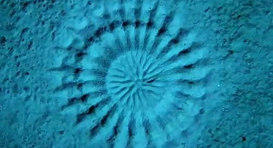 sixpenceee:  When underwater crop circles porn pictures