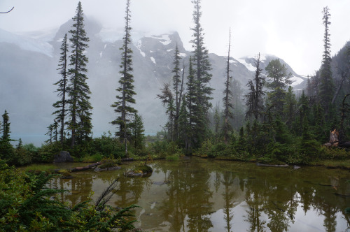 90377: Joffre Lake by Martin