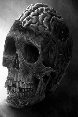 darkestdee:  © MachiavelliCro | ^(OvO)^ Braindead