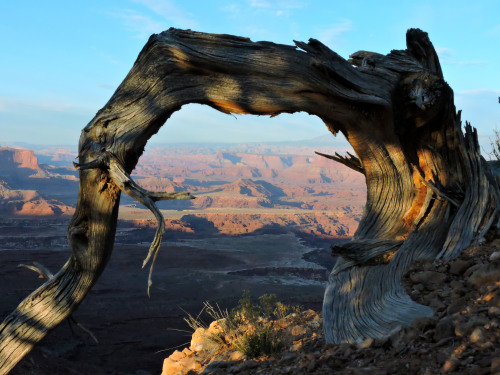 High above the desert Canyons.Instagram.