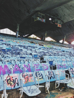 zeropercenthipster:  Probably one of the coolest and creepiest places I have ever been to! An entire stadium here in Miami facing the ocean was abandoned and basically taken over by skaters and taggers here in Miami. Every inch of this place has been