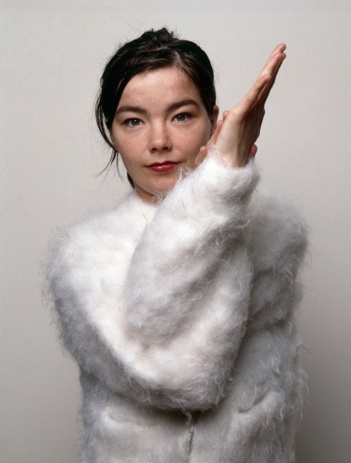 bjorkfr:Björk par David Tonge (1993)mise à jour grand format