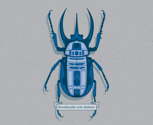 Bug Wars Created by Keith Krebbs (Via:tiefighters)