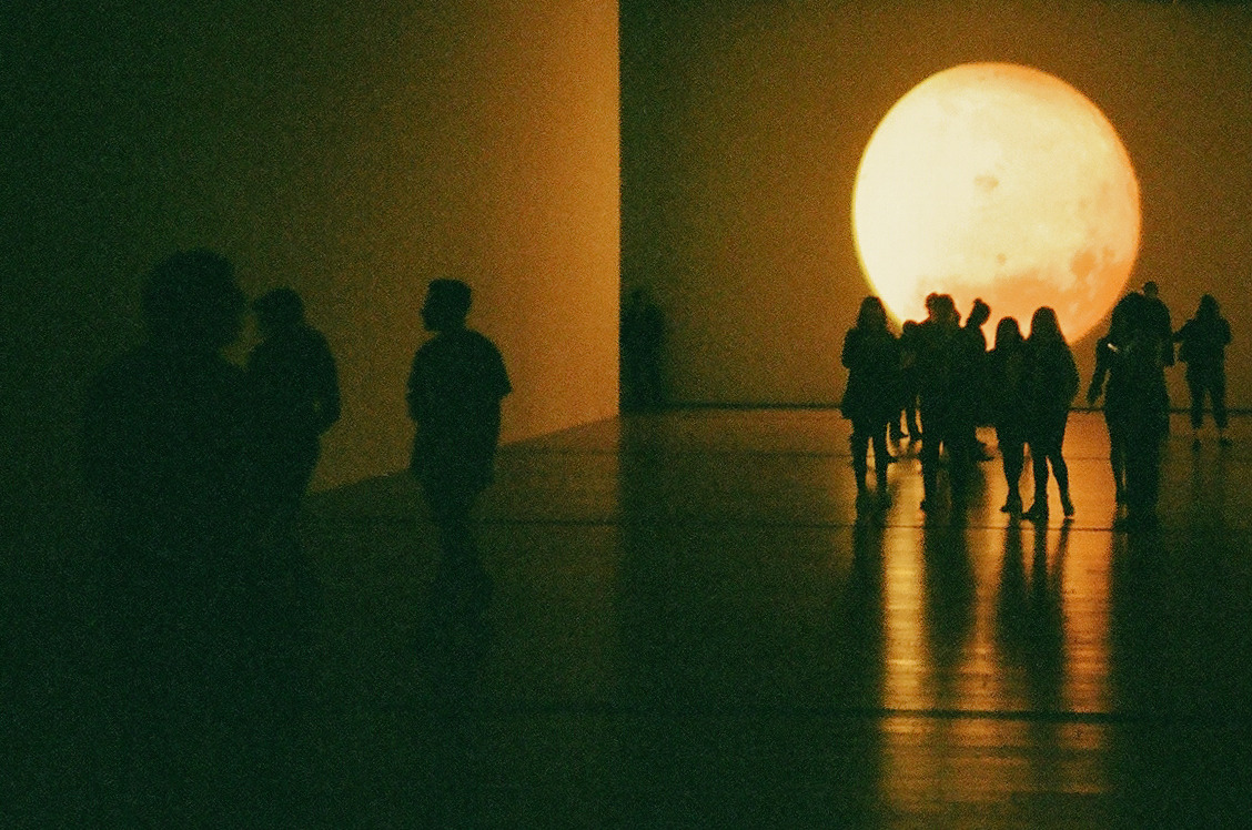 lostinthewhiteroom:  Diana Thater - The Sympathetic Imagination Los Angeles County