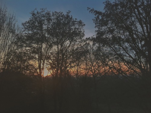 csidesuicide:  First sunset in 2014 