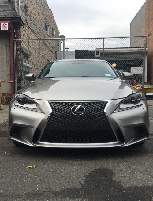 Lexusboys