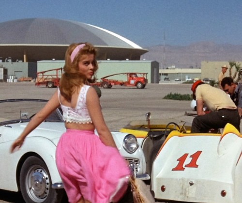 modbeatnik:“Ann-Margret in Viva Las Vegas,1964”
