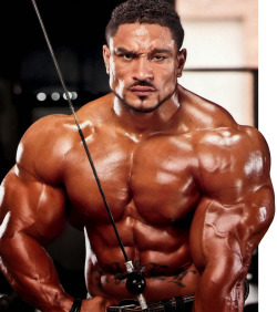 mitos:  Roelly Winklaar by Gregory James (2013)