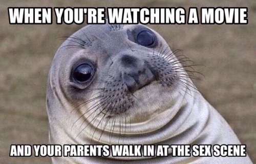 tastefullyoffensive:  Awkward Moment Seal [x]Previously: Best of ‘Business Baby’ 