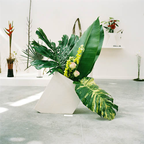 crematorie:  Camille Henrot  - Est-il possible d’être révolutionnaire et d’aimer les fleurs, 2012.