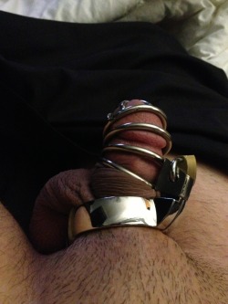 chastityjourney:  New cage. No ready for the sound attachment just yet. 