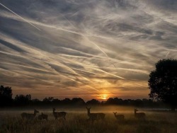 Dont-Trust-The-Cloud:  Pics From Around The World Of Chemtrails, Geo-Engineering