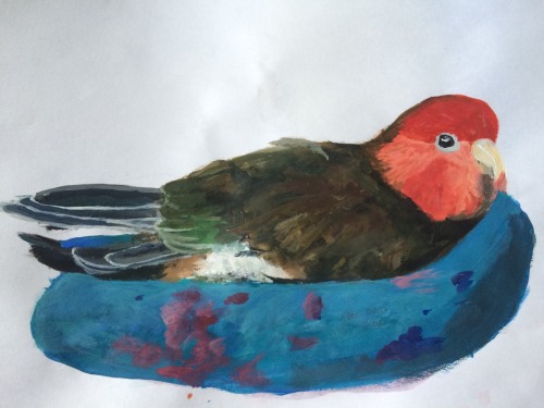 Ive Been Practicing Trying To Loosen Up In Painting, So I Did Some Birds And Limited Myself To An Hour.