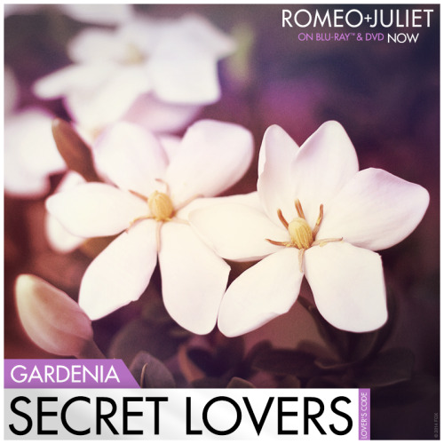 Ages ago, young lovers used flowers as code to share their feelings to each other. Gardenias were th