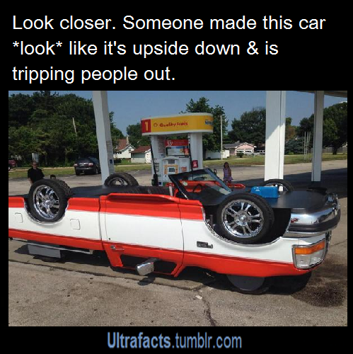 ultrafacts:  Source  [For more facts, Click HERE to follow Ultrafacts]  Why