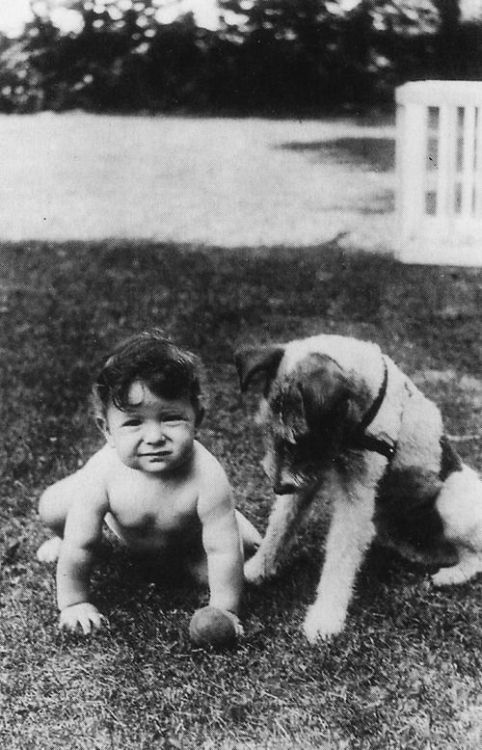 July 1935 shot of Leonard Cohen (10 months) and his first dog, Kelef