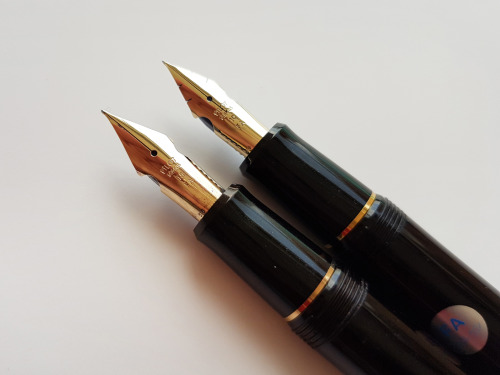 watering76:Pilot Custom 743 #15 FA nibPilot Custom 742 modified #10 FA nib 