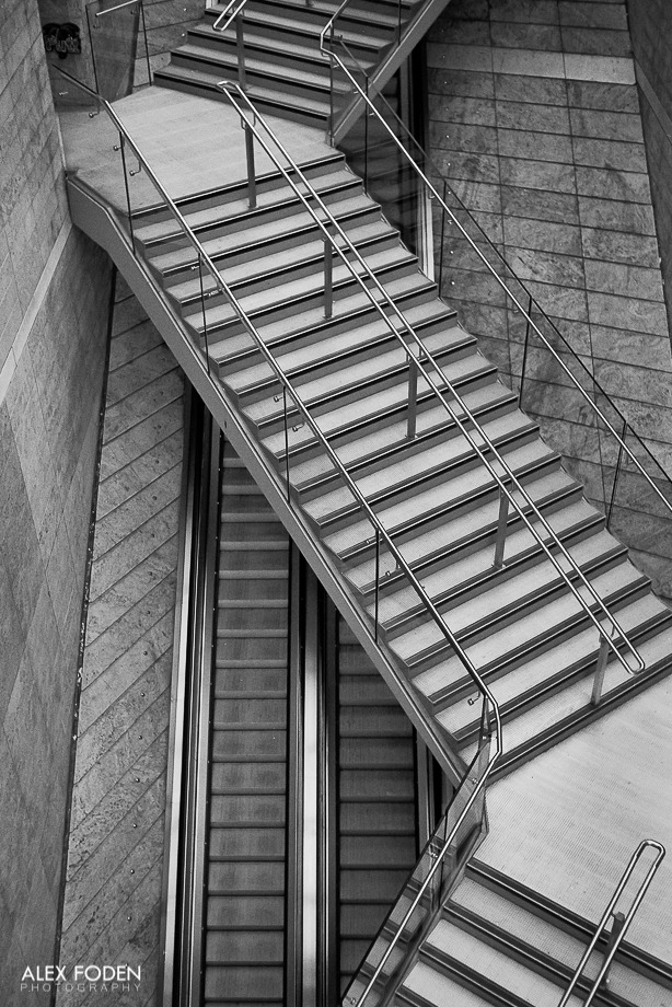 luxlit:  From my first roll of film. Kodak TMax 400, Olympus Trip 35:) http://alexfodenphotography.tumblr.com/