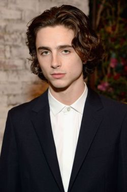timotheetea:  Timothée Chalamet - 3 months ago - Hollywood Foreign Press Association And InStyle Celebrate The 75th Anniversary Of The Golden Globe Awards - 15.11.2017