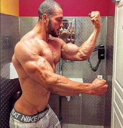 gym-punk-jock-nerd: RIPPED: FRONTS, BACKS