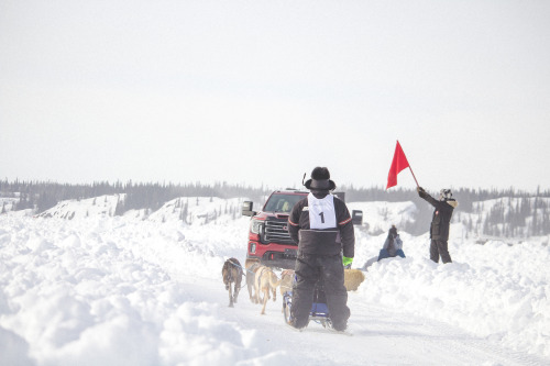 youngventure: Accidentally missed the start of the Underdog 100 but watched the 4-dog and 6-dog star