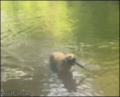 いいお日柄