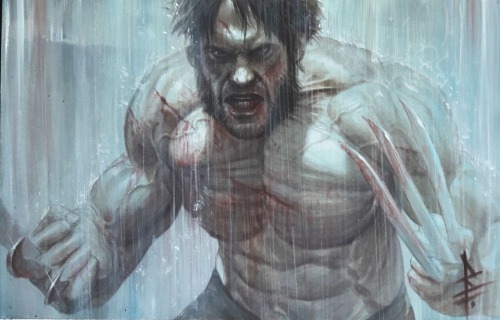 wolverineholic:  by  Riccardo Federici  