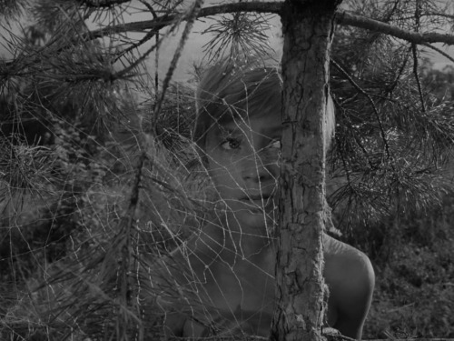 maxwellbul:    Ivan’s Childhood (1962), Director: Andrei Tarkovsky, DP: Vadim Yosov   