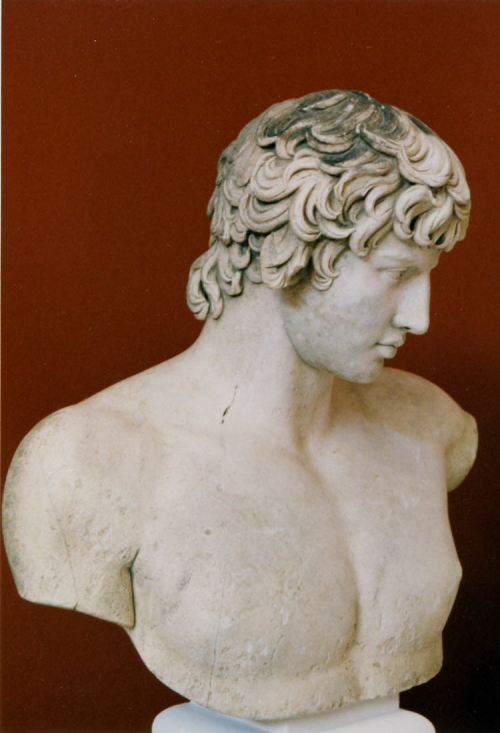 grreece:Antinous bust located in Athens’ National Archeological Museum. Found in 1856 in Patras.