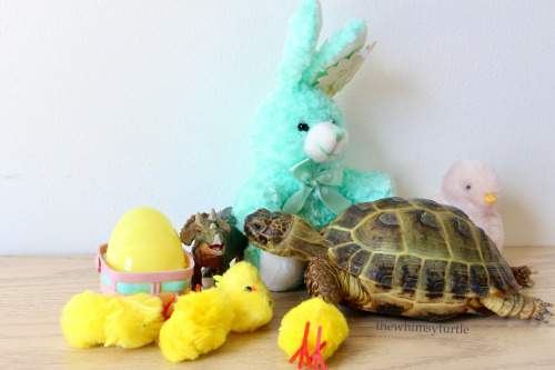 Hoppy Easter, friends!    Wishing you all an egg-stra delicious holiday!  