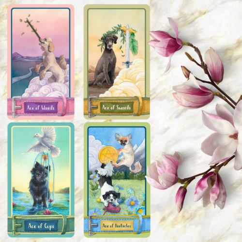 A whole collection of cards and card spreads for the upcoming Barkana deck! Be sure to sign up here 