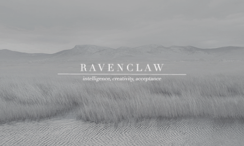 ravnclaws:        hogwarts houses &amp; fields | where do you belong?